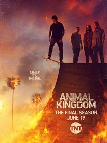 Animal Kingdom saison 6